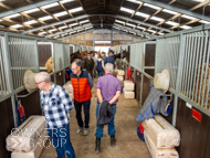 FOB071023-105 - Fergal O'Brien Stable Visit